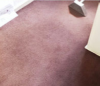 Domestic & Commercial Carpet Cleaning Services